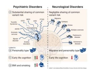 Psychiatric Disorders-WPS Office 1.pptx