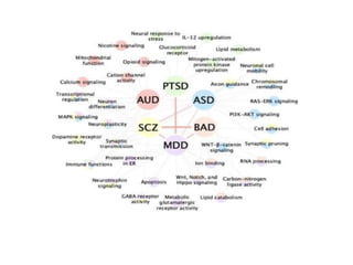 Psychiatric Disorders-WPS Office 1.pptx