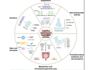 Psychiatric Disorders-WPS Office 1.pptx