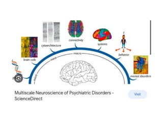 Psychiatric Disorders-WPS Office 1.pptx