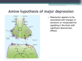 Amine hypothesis of major depression
• Depression appears to be
associated with changes in
serotonin or norepinephrine
signalling in the brain with
significant downstream
effects
 