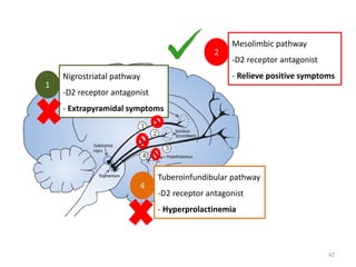 42
2
Mesolimbic pathway
-D2 receptor antagonist
- Relieve positive symptoms
1
Nigrostriatal pathway
-D2 receptor antagonist
- Extrapyramidal symptoms
4
Tuberoinfundibular pathway
-D2 receptor antagonist
- Hyperprolactinemia
 