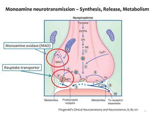 Monoamine neurotransmission – Synthesis, Release, Metabolism
Fitzgerald's Clinical Neuroanatomy and Neuroscience, 8, 85-101 5
Reuptake transporter
Monoamine oxidase (MAO)
 
