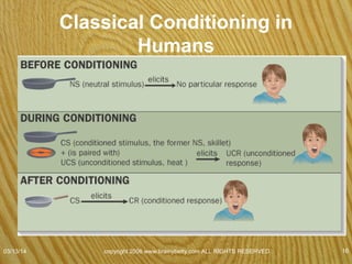 Classical Conditioning in Humans
• Advertising using Classical Conditioning?
– Taught to pair what with what?
07/08/15
copyright 2006 www.brainybetty.com ALL RIGHTS
RESERVED. 16
 