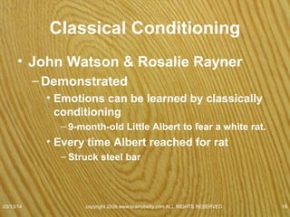 Classical Conditioning in Humans
• Rosalie Rayner & John Watson (1920'S)
• Conditioning Little Albert to fear white rat.
• Not ethical by present-day standards.
07/08/15
copyright 2006 www.brainybetty.com ALL RIGHTS
RESERVED. 18
 