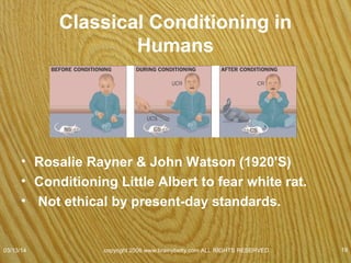 Classical Conditioning in Humans
• Unconditioned
Stimulus (UCS)
• Loud noise
– No learning
• Conditioned Stimulus
(CS)
– Rat
• Unconditioned
Response (UCR)
• Fear (of loud noise)
– No learning
• Conditioned Response
(CR)
– Fear of rat
07/08/15
copyright 2006 www.brainybetty.com ALL RIGHTS
RESERVED. 19
 