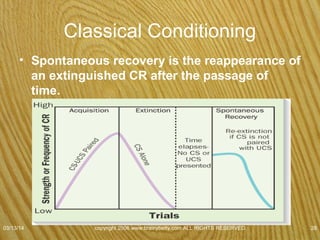 Spontaneous Recovery
• Dog door
– Dog stops checking
– One day checks again
– Extinction
• Car
– Battery dead
– Stop checking
– Check again
– Extinction
07/08/15
copyright 2006 www.brainybetty.com ALL RIGHTS
RESERVED.
28
 
