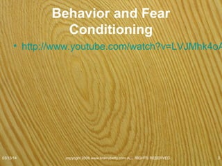 Behaviorists
• Look at how people respond to the things in
their environment that affect them.
• Don’t think it is important to study one’s
– Inner needs
– Thoughts
– Feelings
– Motives
07/08/15
copyright 2006 www.brainybetty.com ALL RIGHTS
RESERVED. 3
 