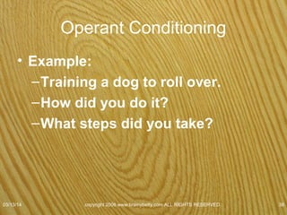 Shaping
• Reinforcing successive
approximations to the desired
behavior.
07/08/15
copyright 2006 www.brainybetty.com ALL RIGHTS
RESERVED. 38
 