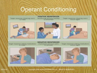Cognitive and Social Perspectives On
Learning
• Latent learning
occurs when
learning has
taken place, but
is not
demonstrated.
07/08/15
copyright 2006 www.brainybetty.com ALL RIGHTS
RESERVED. 47
 
