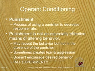 Cognitive and Social Perspectives On
Learning
• Observational learning (modeling)
– Learning that occurs through watching & imitating
the behaviors of others.
• Parents
• See person doing the behavior reinforced for the
behavior
– Gold & silver class watch teacher do what you have been
trying to do easier.
07/08/15
copyright 2006 www.brainybetty.com ALL RIGHTS
RESERVED. 49
 