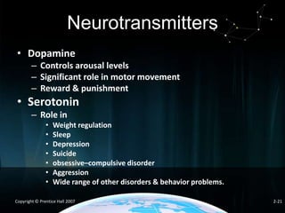 Neurotransmitters
• Dopamine
– Controls arousal levels
– Significant role in motor movement
– Reward & punishment

• Serotonin
– Role in
•
•
•
•
•
•
•

Weight regulation
Sleep
Depression
Suicide
obsessive–compulsive disorder
Aggression
Wide range of other disorders & behavior problems.

Copyright © Prentice Hall 2007

2-21

 