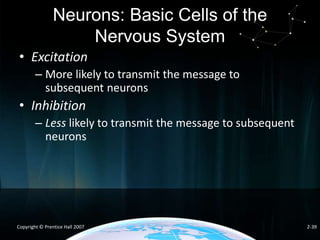 Neurons: Basic Cells of the
Nervous System
• Excitation
– More likely to transmit the message to
subsequent neurons

• Inhibition
– Less likely to transmit the message to subsequent
neurons

Copyright © Prentice Hall 2007

2-39

 