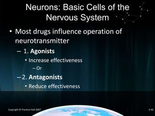 Neurons: Basic Cells of the
Nervous System
• Most drugs influence operation of
neurotransmitter
– 1. Agonists
• Increase effectiveness
– Or

– 2. Antagonists
• Reduce effectiveness

Copyright © Prentice Hall 2007

2-42

 