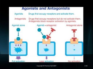 Copyright © Prentice Hall 2007

2-43

 