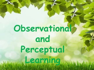 Observational
and
Perceptual
Learning
 