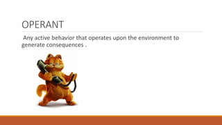 OPERANT 
Any active behavior that operates upon the environment to 
generate consequences . 
 