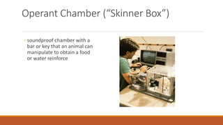 Operant Chamber (“Skinner Box”) 
◦ soundproof chamber with a 
bar or key that an animal can 
manipulate to obtain a food 
or water reinforce 
 