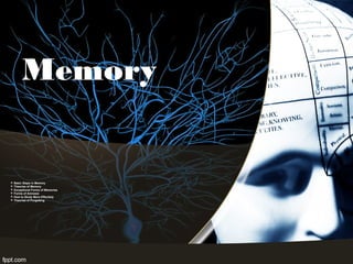 Memory
 Basic Steps in Memory
 Theories of Memory
 Exceptional Forms of Memories
 Forms of Amnesia
 How to Study More Effectiely
 Theories of Forgetting
 