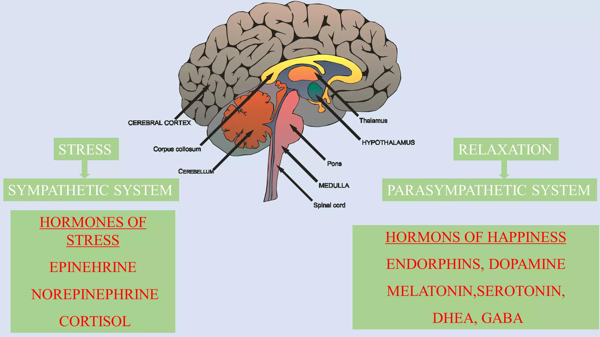 Psycho physiology of stress and its management.PDF