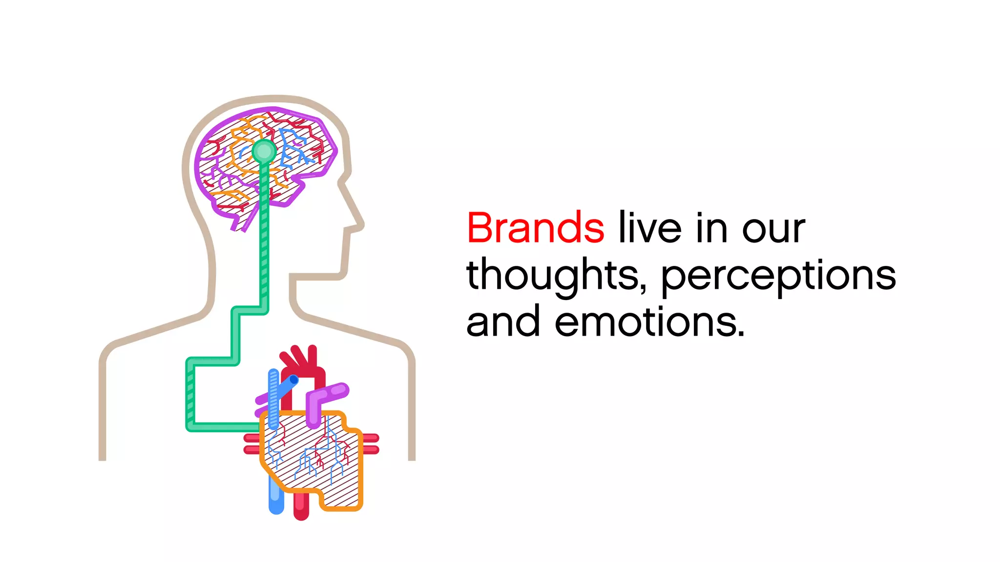 Brands live in our thoughts, perceptions 
and emotions.  