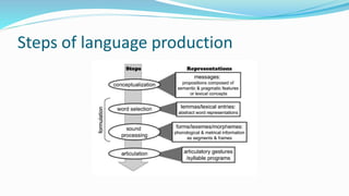 Language Production Process Psycholinguistics Introduction | PPTX