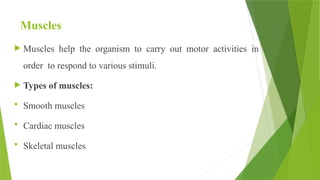 Psychology the human behaviour, body mind relationship, human mind ...