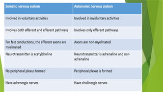 Psychology the human behaviour, body mind relationship, human mind ...