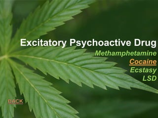 Methamphetamine
Cocaine
Ecstasy
LSD
Excitatory Psychoactive Drug
 
