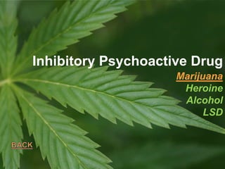 Marijuana
Heroine
Alcohol
LSD
Inhibitory Psychoactive Drug
 