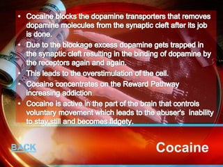 Cocaine
 