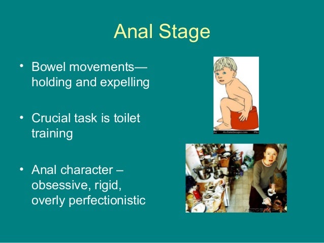 Anale Phase Störungen Und Folgen Psychoanalytic1 freud