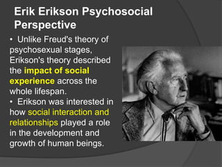 Erik Erikson Psychosocial
Perspective
• Unlike Freud's theory of
psychosexual stages,
Erikson's theory described
the impact of social
experience across the
whole lifespan.
• Erikson was interested in
how social interaction and
relationships played a role
in the development and
growth of human beings.
 