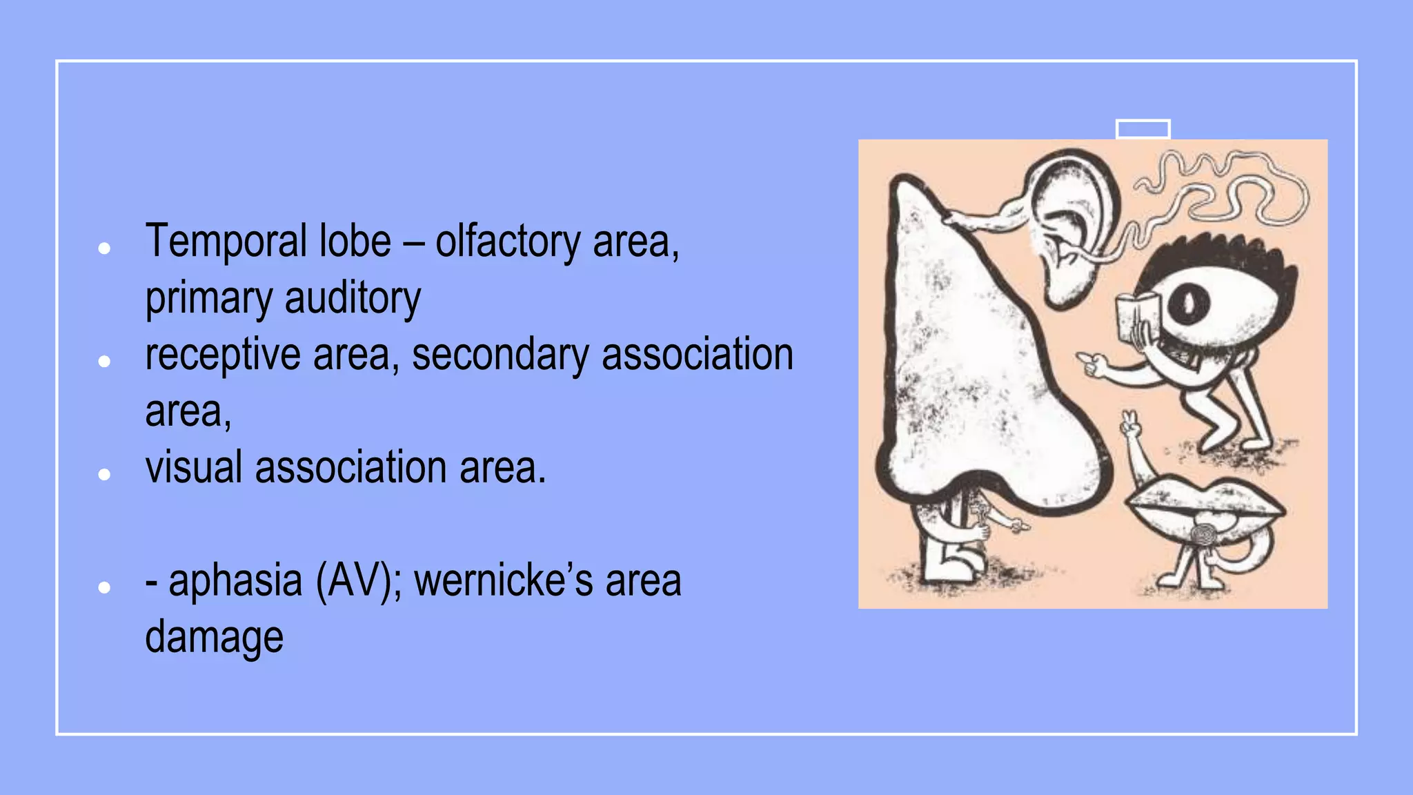 Psychobiologic basis of behavior ppt final.pptx