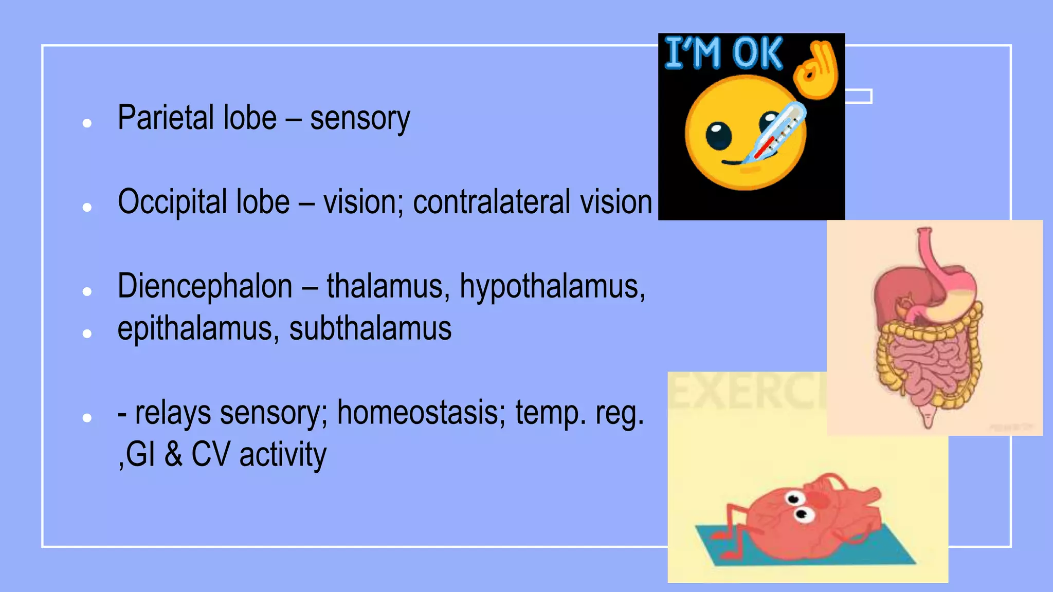 Psychobiologic basis of behavior ppt final.pptx