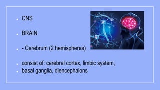 Psychobiologic basis of behavior ppt final.pptx