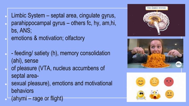Psychobiologic basis of behavior ppt final.pptx | Brain and Nervous ...