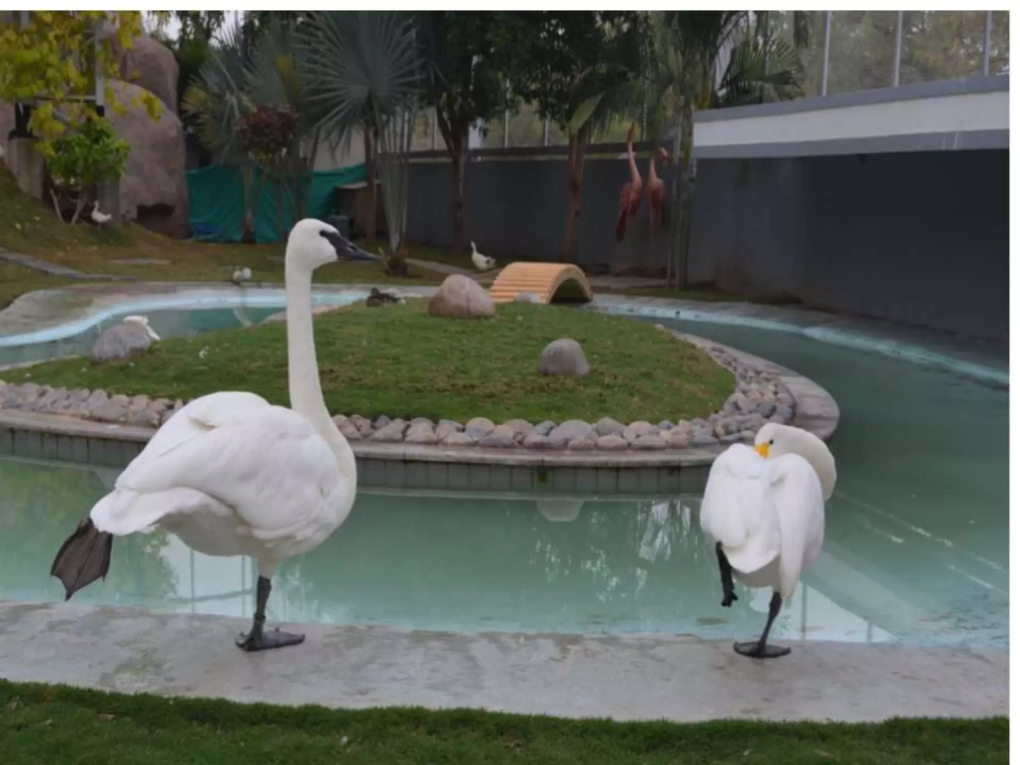 Psychodynamic formulation