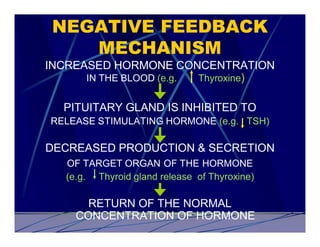 NEGATIVE FEEDBACK
    MECHANISM
INCREASED HORMONE CONCENTRATION
      IN THE BLOOD (e.g. Thyroxine)


  PITUITARY GLAND IS INHIBITED TO
RELEASE STIMULATING HORMONE (e.g. TSH)

DECREASED PRODUCTION & SECRETION
   OF TARGET ORGAN OF THE HORMONE
   (e.g. Thyroid gland release of Thyroxine)

       RETURN OF THE NORMAL
     CONCENTRATION OF HORMONE
 