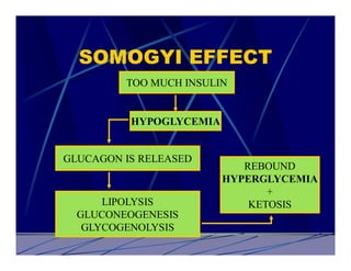 SOMOGYI EFFECT
         TOO MUCH INSULIN


          HYPOGLYCEMIA


GLUCAGON IS RELEASED
                            REBOUND
                         HYPERGLYCEMIA
                                +
      LIPOLYSIS              KETOSIS
  GLUCONEOGENESIS
   GLYCOGENOLYSIS
 