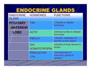 ENDOCRINE GLANDS
ENDOCRINE   HORMONES         FUNCTIONS
GLAND
PITUITARY TSH                 Thyroid to release
                             hormones
 ANTERIOR
  LOBE    ACTH                Adrenal cortex to release
                             hormones
            FSH,LH             Growth, maturation &
                             function of sex organs
            GH/           Growth of body tissues &
                         bones
            SOMATOTROPIN
            PROLACTIN/         Development of
                             mammary glands &
            LTH              lactation
 
