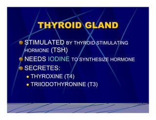 THYROID GLAND
STIMULATED BY THYROID STIMULATING
HORMONE (TSH)
NEEDS IODINE TO SYNTHESIZE HORMONE
SECRETES:
l THYROXINE (T4)
l TRIIODOTHYRONINE (T3)
 