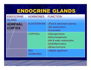 ENDOCRINE GLANDS
ENDOCRINE   HORMONES      FUNCTION
GLAND
ADRENAL     ALDOSTERONE   Fluid & electrolyte balance;
                          Na reabsorption;
CORTEX
                          K excretion
            CORTISOL      Glycogenolysis;
                          Gluconeogenesis
                          Na & water reabsorption
                          Antiinflammatory
                          Stress hormone
            SEX           Slightly significant
            HORMONES
 