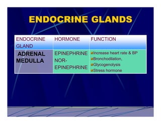 ENDOCRINE GLANDS

ENDOCRINE   HORMONE       FUNCTION
GLAND
ADRENAL     EPINEPHRINE   Increase heart rate & BP
                          Bronchodilation,
MEDULLA     NOR-
                          Glycogenolysis
            EPINEPHRINE
                          Stress hormone
 