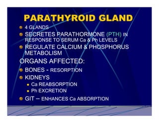 PARATHYROID GLAND
 4 GLANDS
 SECRETES PARATHORMONE (PTH) IN
 RESPONSE TO SERUM Ca & Ph LEVELS
 REGULATE CALCIUM & PHOSPHORUS
 METABOLISM
ORGANS AFFECTED:
 BONES - RESORPTION
 KIDNEYS
  l   Ca REABSORPTION
  l   Ph EXCRETION
 GIT – ENHANCES Ca ABSORPTION
 