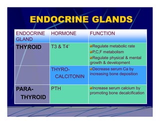ENDOCRINE GLANDS
ENDOCRINE   HORMONE       FUNCTION
GLAND
THYROID     T3 & T4’       Regulate metabolic rate
                           P,C,F metabolism
                           Regulate physical & mental
                          growth & development
            THYRO-          Decrease serum Ca by
                          increasing bone deposition
             CALCITONIN

PARA-    PTH               Increase serum calcium by
                          promoting bone decalcification
 THYROID
 