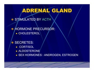 ADRENAL GLAND
STIMULATED BY ACTH

HORMONE PRECURSOR:
l   CHOLESTEROL


SECRETES:
l   CORTISOL
l   ALDOSTERONE
l   SEX HORMONES : ANDROGEN, ESTROGEN
 