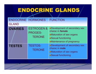 ENDOCRINE GLANDS
ENDOCRINE HORMONES      FUNCTION
GLAND
OVARIES   ESTROGEN & Development of secondary sex
                     charac in female
          PROGES-
                      Maturation of sex organs
            TERONE    Sexual functioning
                         Maintenance of pregnancy
TESTES    TESTOS-        Development of secondary sex
                        charac in male
            TERONE
                         Maturation of sex organs
                         Sexual functioning
 