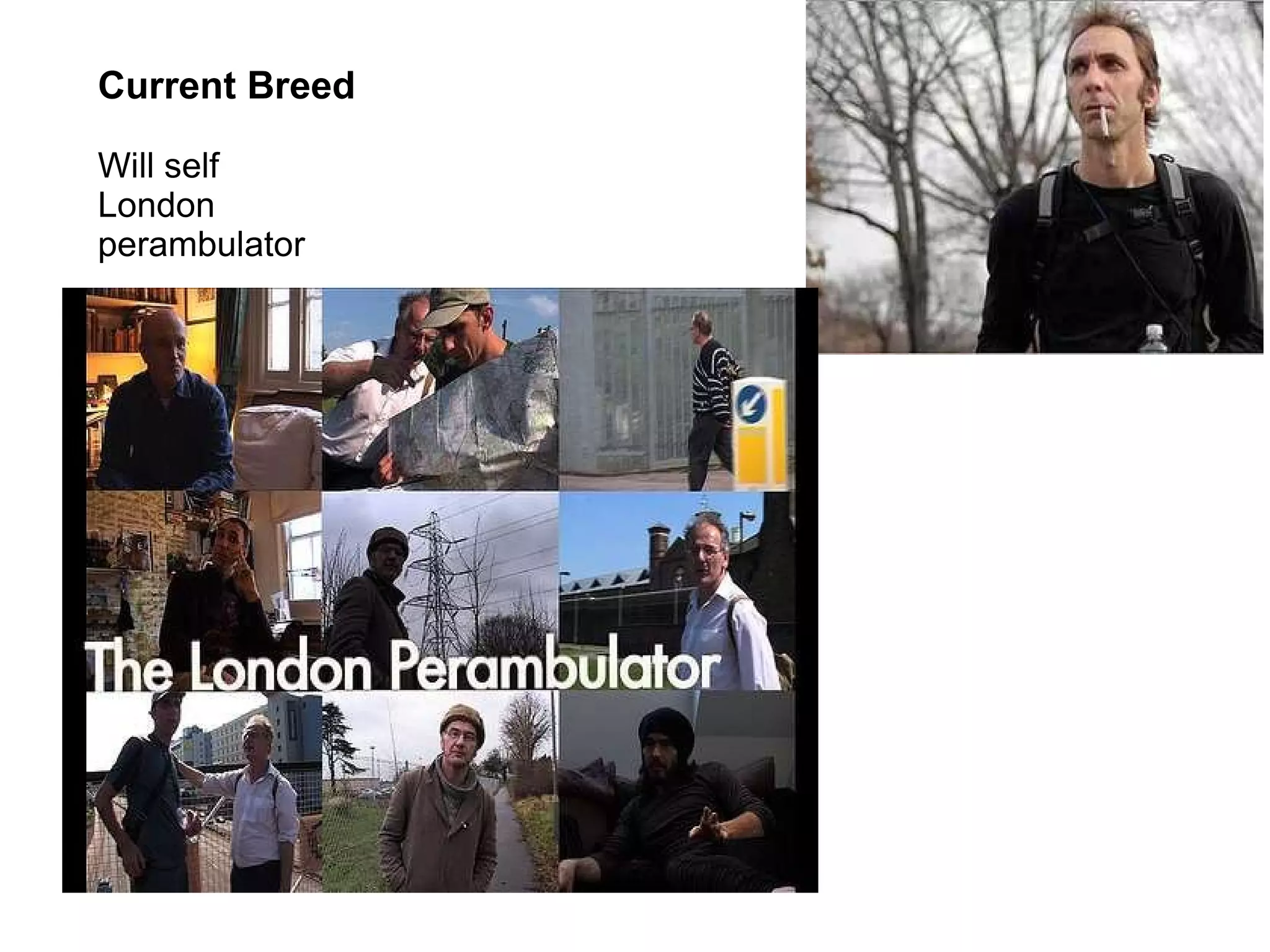 Current Breed

Will self
London
perambulator
 
