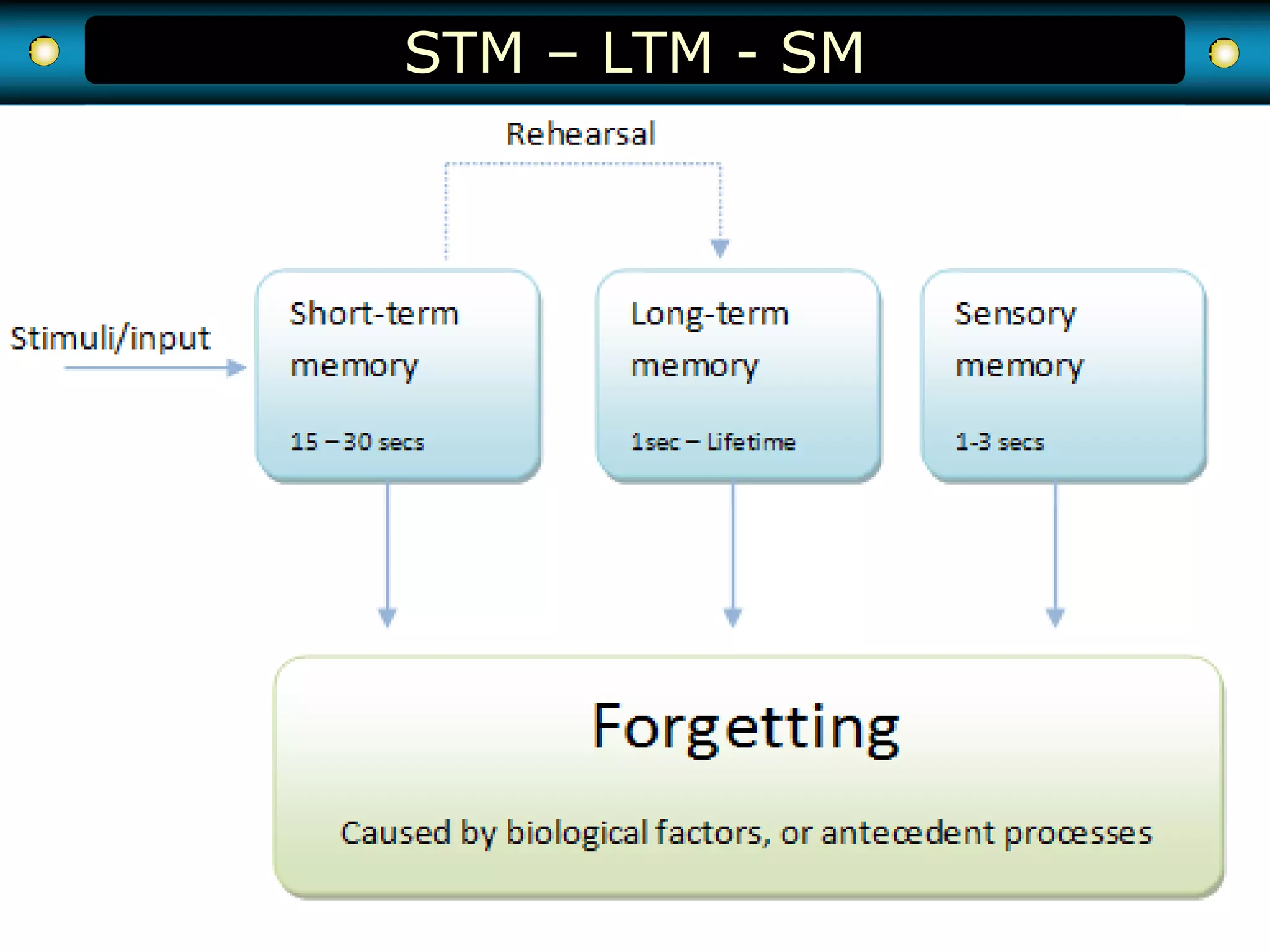 STM – LTM - SM
http://www.prachyanun.com
 